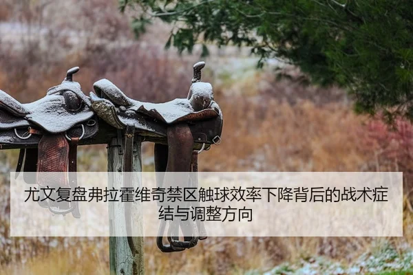 尤文复盘弗拉霍维奇禁区触球效率下降背后的战术症结与调整方向