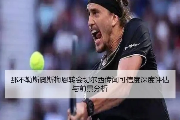 那不勒斯奥斯梅恩转会切尔西传闻可信度深度评估与前景分析